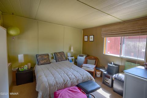 3393 Turkey Run, Overgaard, AZ 85928 photo 23