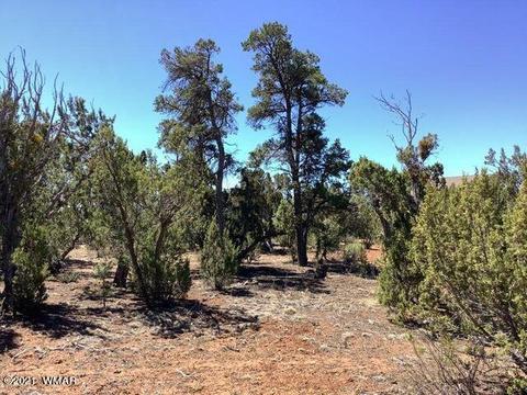 2976 Lodgepole Ln, Overgaard, AZ 85933 photo 4