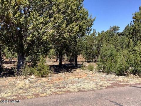 2976 Lodgepole Ln, Overgaard, AZ 85933 photo 3
