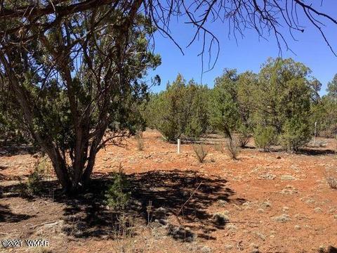 2976 Lodgepole Ln, Overgaard, AZ 85933 photo 5