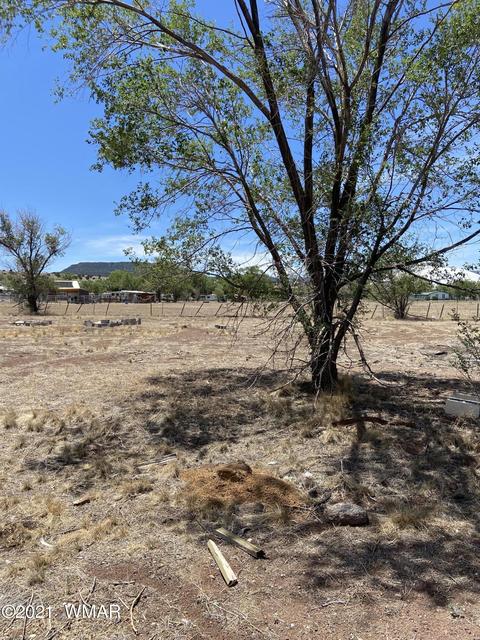 345 E Maricopa St, Eagar, AZ 85925 photo 13