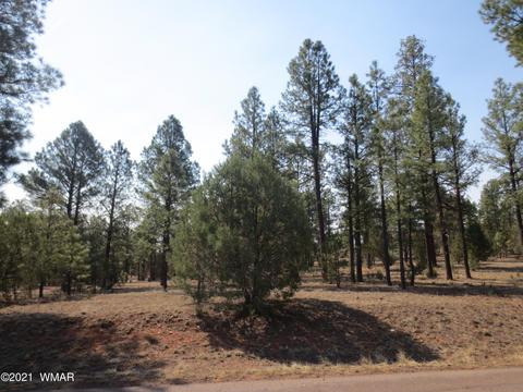 2913 Silver Dollar St, Overgaard, AZ 85933 photo 3