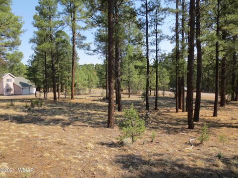 2913 Silver Dollar St, Overgaard, AZ 85933 photo 9
