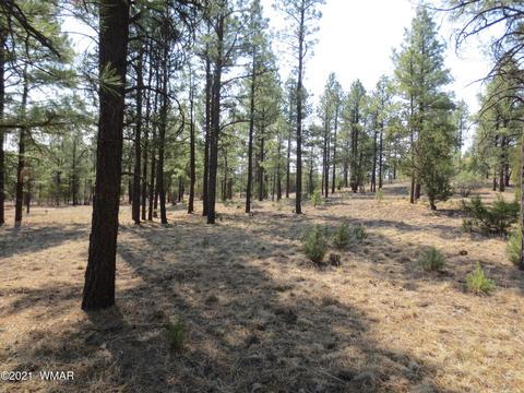 2913 Silver Dollar St, Overgaard, AZ 85933 photo 8