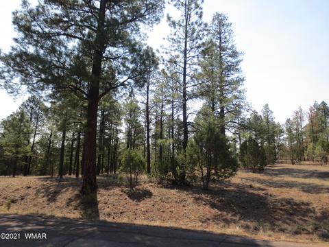 2913 Silver Dollar St, Overgaard, AZ 85933 photo 6