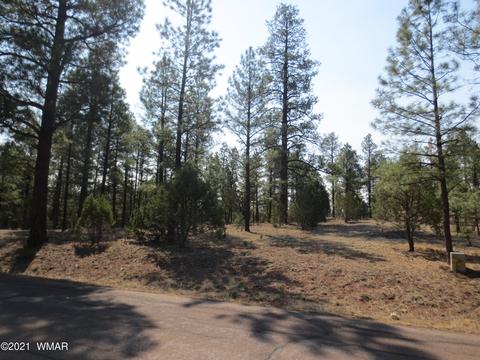 2913 Silver Dollar St, Overgaard, AZ 85933 photo 5