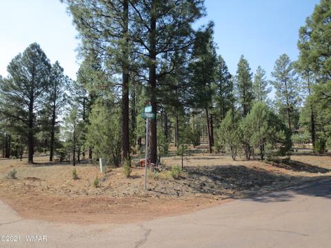 2913 Silver Dollar St, Overgaard, AZ 85933 photo 1