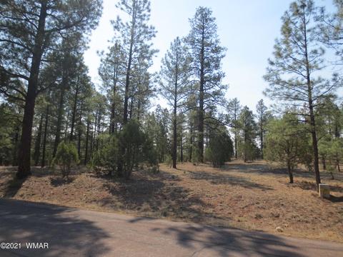 2913 Silver Dollar St, Overgaard, AZ 85933 photo 4