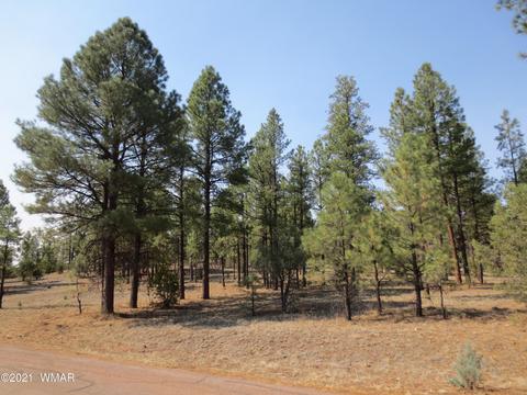 2913 Silver Dollar St, Overgaard, AZ 85933 photo 2