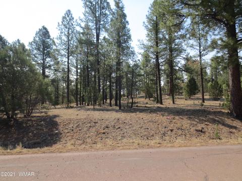 2913 Silver Dollar St, Overgaard, AZ 85933 photo 7