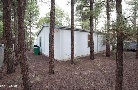 421 Timber Ridge Loop, Show Low, AZ 85902 photo 6