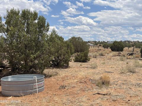 8519 Juniper Berry Trl, Snowflake, AZ 85937 photo 12