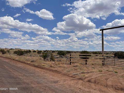 8519 Juniper Berry Trl, Snowflake, AZ 85937 photo 2