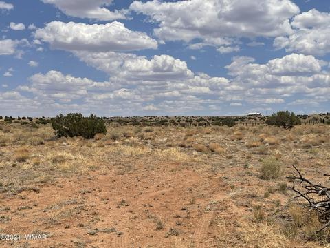 8519 Juniper Berry Trl, Snowflake, AZ 85937 photo 13