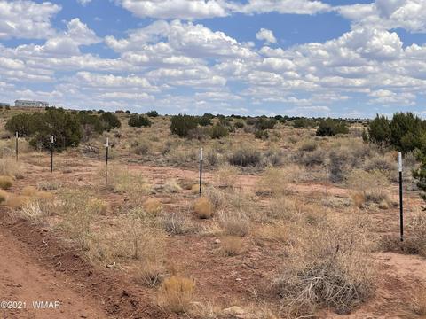 8519 Juniper Berry Trl, Snowflake, AZ 85937 photo 4