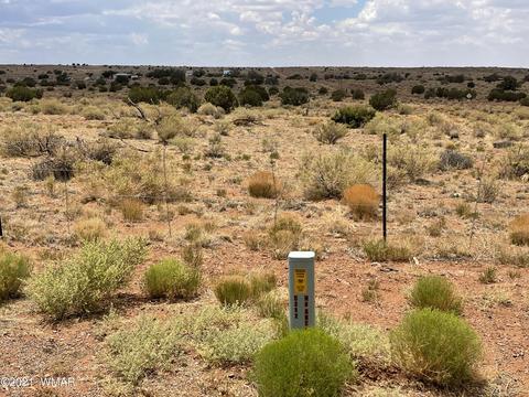 8519 Juniper Berry Trl, Snowflake, AZ 85937 photo 8