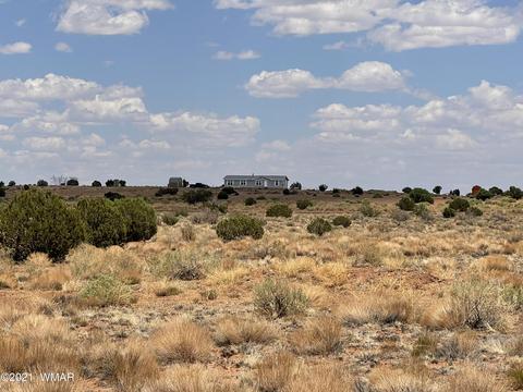 8519 Juniper Berry Trl, Snowflake, AZ 85937 photo 14