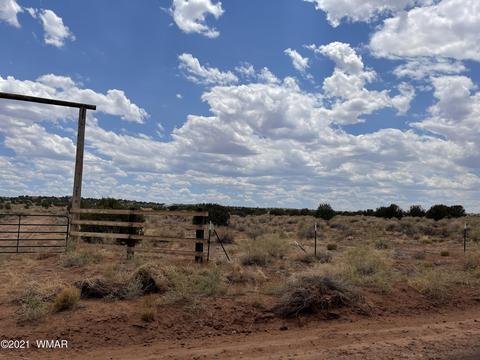 8519 Juniper Berry Trl, Snowflake, AZ 85937 photo 3