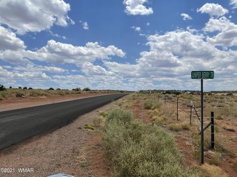 8519 Juniper Berry Trl, Snowflake, AZ 85937 photo 7