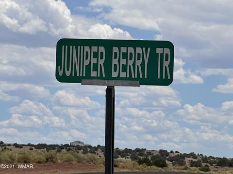 8519 Juniper Berry Trl, Snowflake, AZ 85937 photo 5