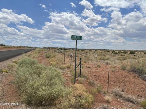 8519 Juniper Berry Trl, Snowflake, AZ 85937 photo 6