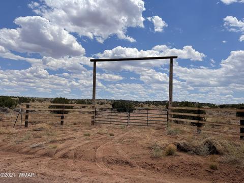 8519 Juniper Berry Trl, Snowflake, AZ 85937 photo 1