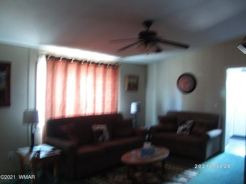 3552 Juniper Break Trl, Overgaard, AZ 85933 photo 22