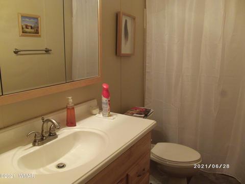 3552 Juniper Break Trl, Overgaard, AZ 85933 photo 37