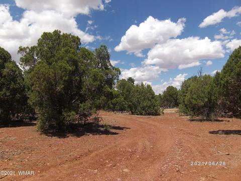 3552 Juniper Break Trl, Overgaard, AZ 85933 photo 45
