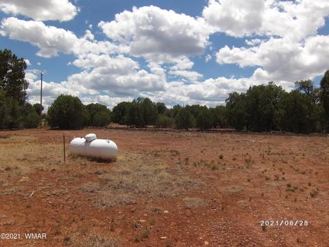 3552 Juniper Break Trl, Overgaard, AZ 85933 photo 2