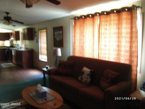 3552 Juniper Break Trl, Overgaard, AZ 85933 photo 23