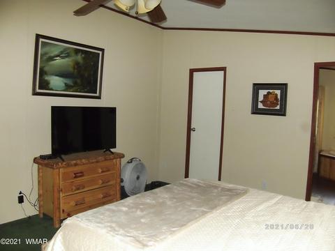 3552 Juniper Break Trl, Overgaard, AZ 85933 photo 28