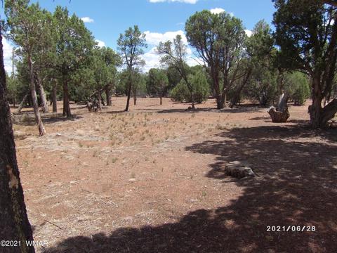 3552 Juniper Break Trl, Overgaard, AZ 85933 photo 9