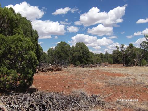 3552 Juniper Break Trl, Overgaard, AZ 85933 photo 3