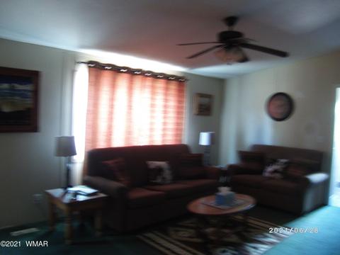 3552 Juniper Break Trl, Overgaard, AZ 85933 photo 21