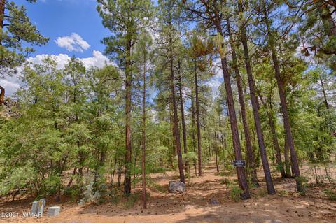 57 E Vista Ln, Pinetop, AZ 85935