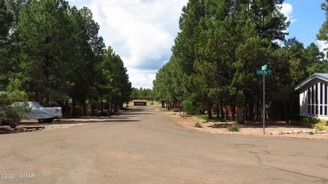 2980 E Larson Way, Show Low, AZ 85901 photo 36