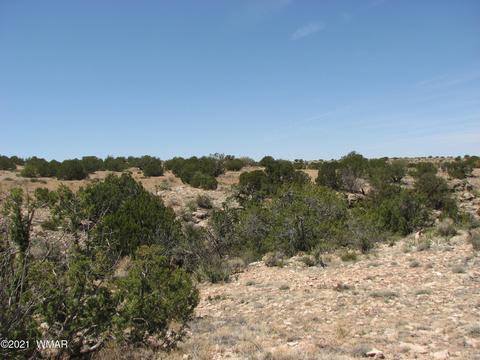 546 Flat Bush Rd, Heber, AZ 85928
