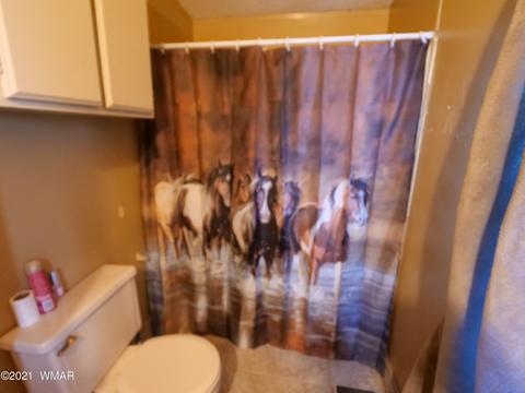 1602 Ranch Rd, Taylor, AZ 85939 photo 15