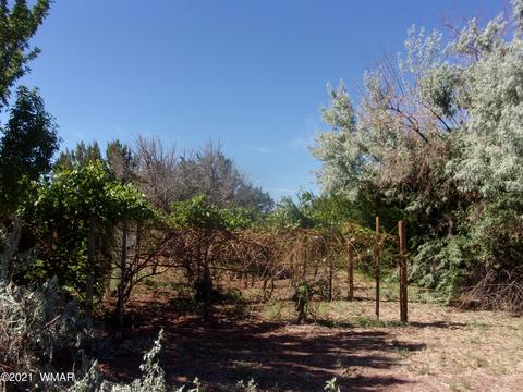 8497 E Concho Hwy, Snowflake, AZ 85937 photo 20