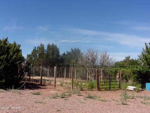 8497 E Concho Hwy, Snowflake, AZ 85937 photo 15