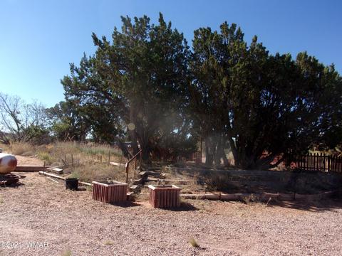 8497 E Concho Hwy, Snowflake, AZ 85937 photo 19