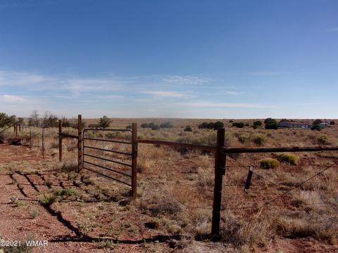8497 E Concho Hwy, Snowflake, AZ 85937 photo 21