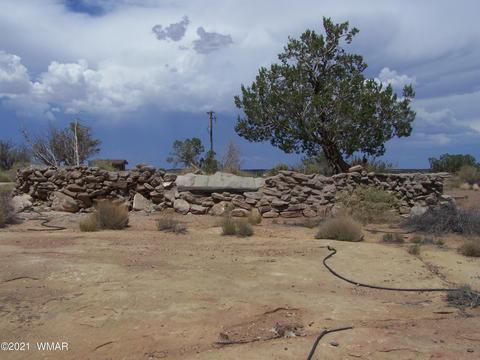 9181 E Concho Hwy, Snowflake, AZ 85937 photo 6