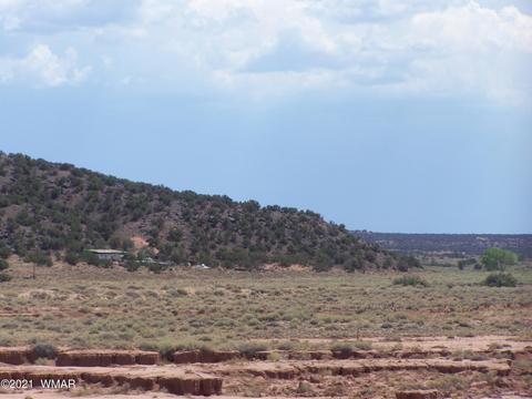 9181 E Concho Hwy, Snowflake, AZ 85937 photo 8