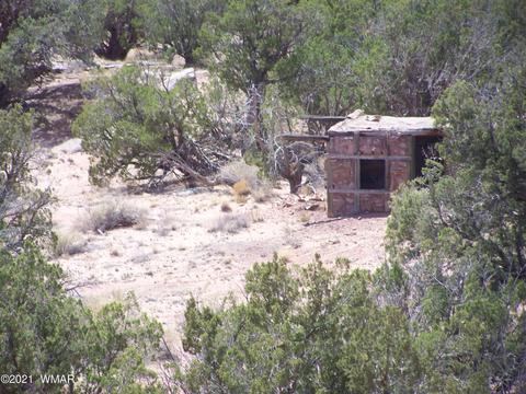 9181 E Concho Hwy, Snowflake, AZ 85937 photo 9