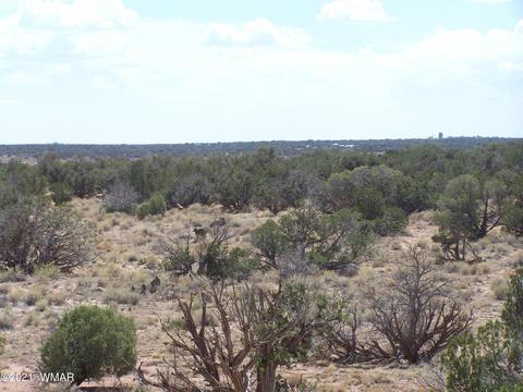 9181 E Concho Hwy, Snowflake, AZ 85937 photo 10