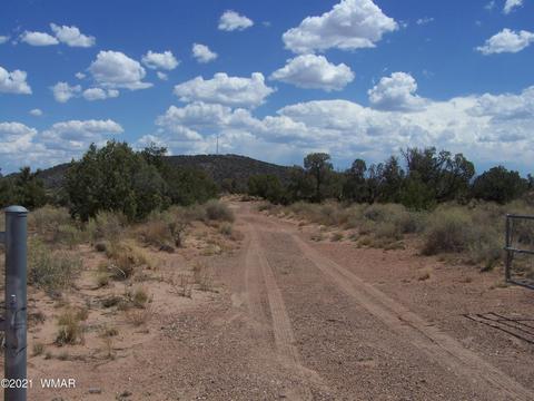 9181 E Concho Hwy, Snowflake, AZ 85937 photo 1