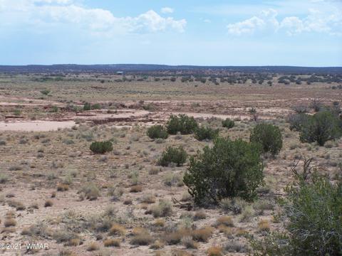9181 E Concho Hwy, Snowflake, AZ 85937 photo 7