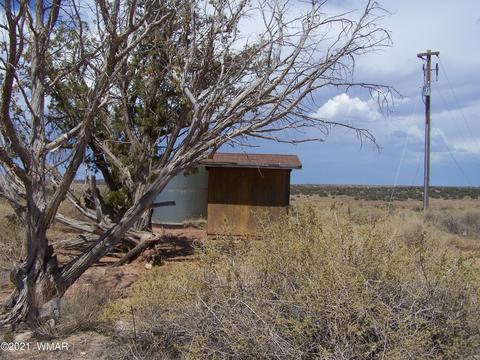9181 E Concho Hwy, Snowflake, AZ 85937 photo 2